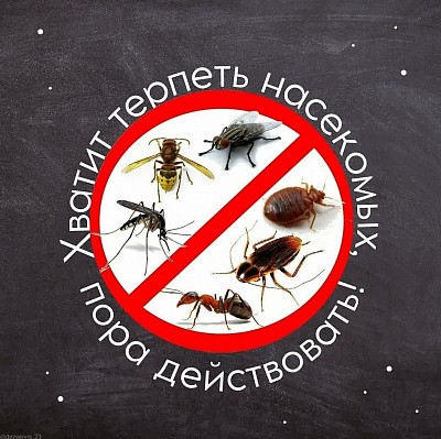 Дезинфекция услуги Баку гарантированная компания по репеллентам от насекомых домашняя офисная работа услуга по репеллентам от насекомых, которая вас беспокоит