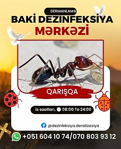 Qarişqa Dezinfeksiya