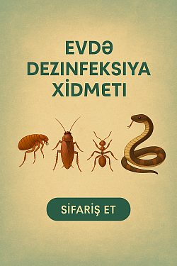 Dərmanlama Xidməti
