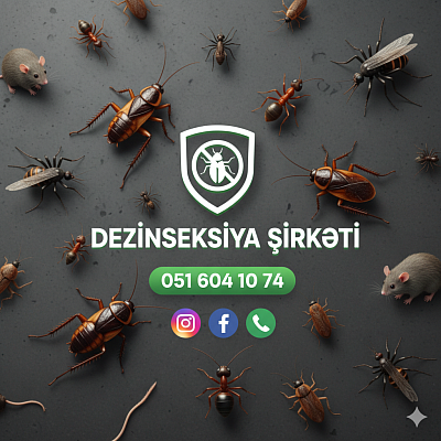 Ev İş yeri dezinfeksiya