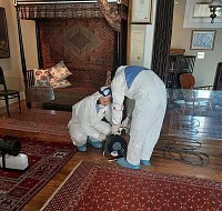 Дезинсекция