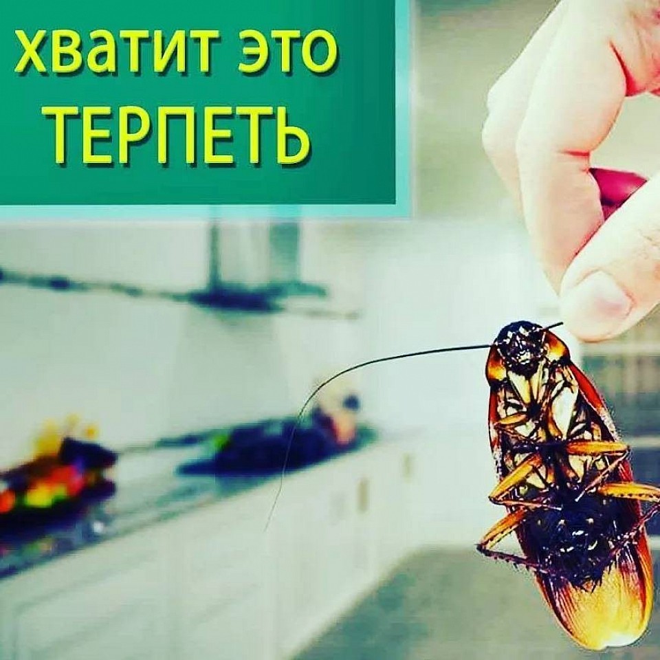 борьба с вредителями