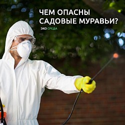 з