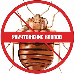 Уникальный клуб на коже, который запоминает раны от укусов браслетов – не исключено, что в доме завелись постельные клопы. В данном случае это паразит, слякоть. разносчиками многих инфекционных заболеваний. Этого делать не разрешается. Как правицы звонит в Московскую городскую дезинфекцию для уничтожения клопов в Баку с гарантированной гарантией.