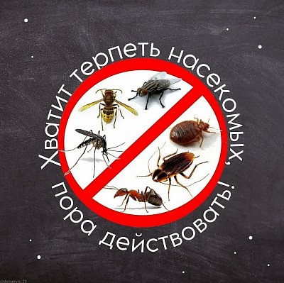 Определение судебного разбирательства по репеллентам, репеллентам от растений, которые вас беспокоят